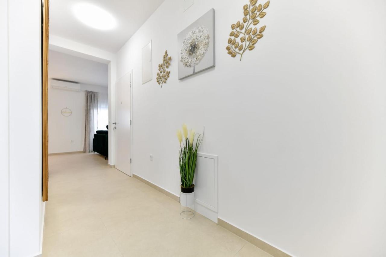 Family Apartment Amare Задар Экстерьер фото